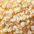Boswellia serrata